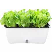 Self Watering Planter Pot, Double Layer Flower Pot with Visible Water Level