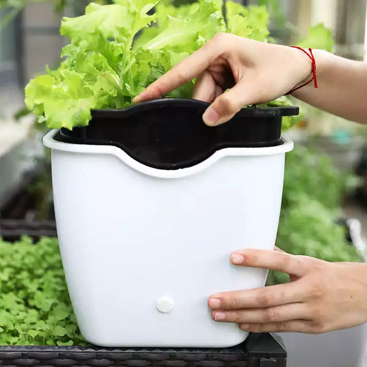Self Watering Planter Pot, Double Layer Flower Pot with Visible Water Level Self Watering Planter Pot, Double Layer Flower Pot with Visible Water Level