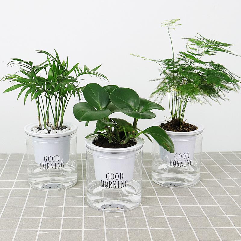 Three Self Watering Indoor Plant Pots with three different plants placed on floor 