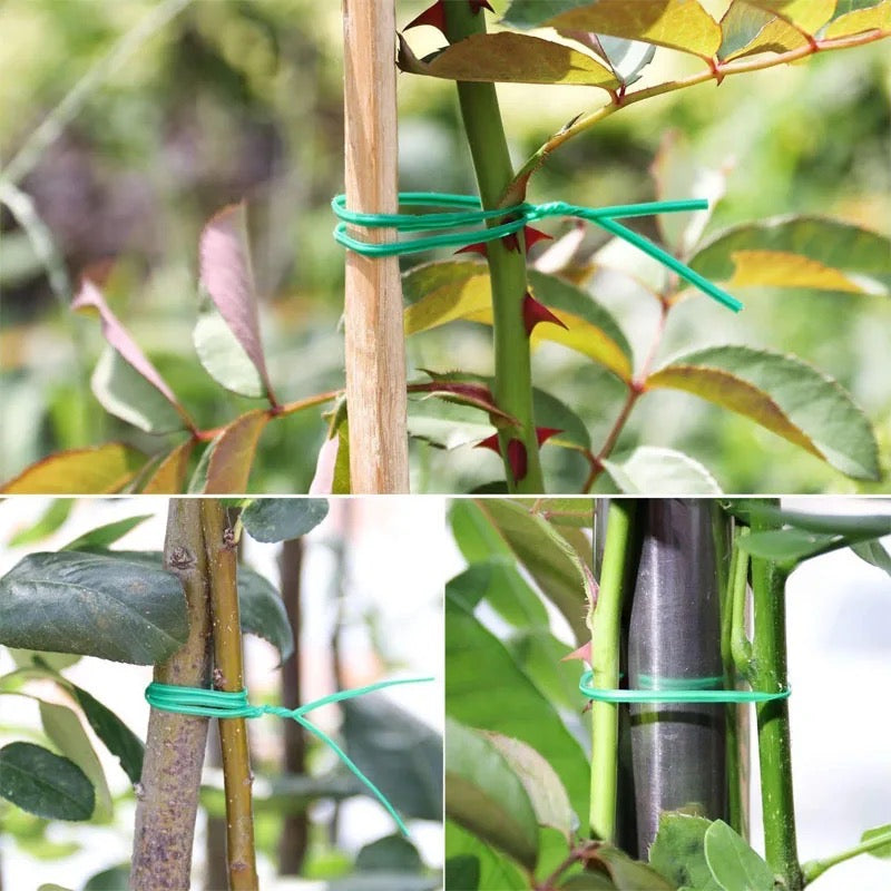 Plants tied with 30 Meters Gardening Plant Green Twist Tie Wire 