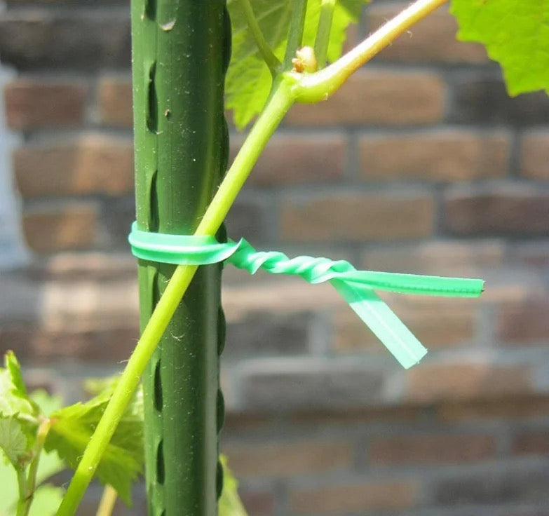 Plants tied with 30 Meters Gardening Plant Green Twist Tie Wire